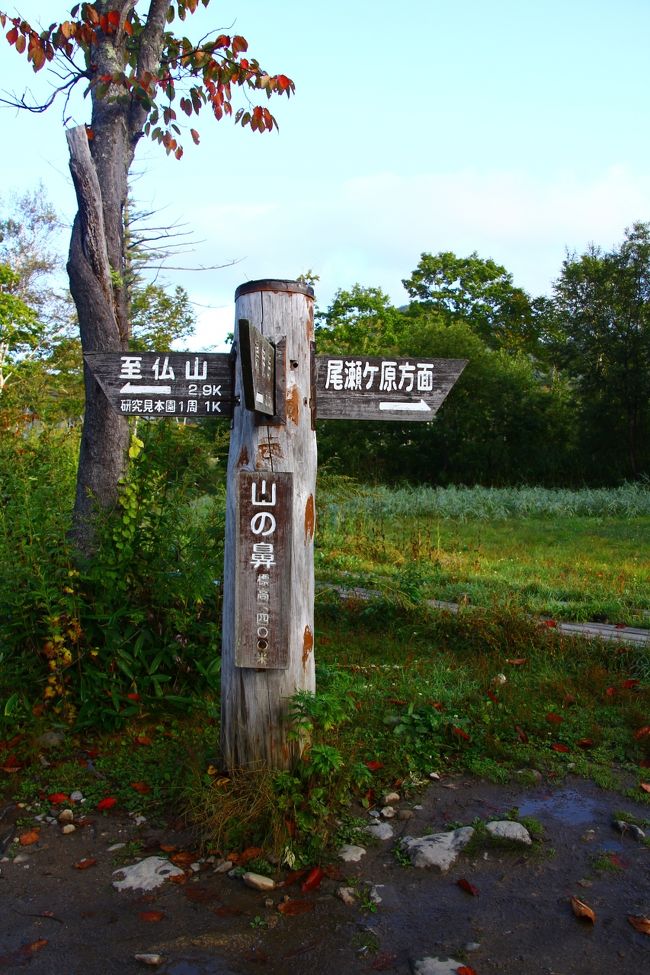 1時間弱で山の鼻に到着。<br />太陽が昇って来てだいぶ暖かくなってきた。<br /><br />06:30