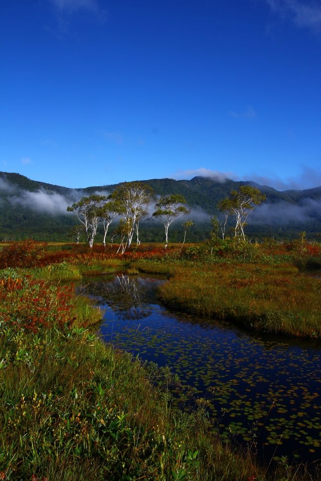 感動しちゃった。