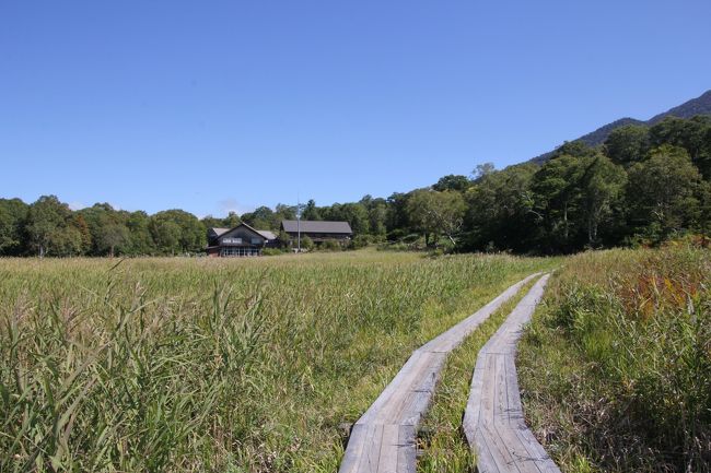 ガビーん<br />道間違えた。<br />30分位歩いたのに…<br /><br />引き返す（泣