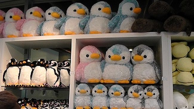 京都水族館に行ってきました 京都駅周辺 京都 の旅行記 ブログ By ｍａｒｓｙさん フォートラベル