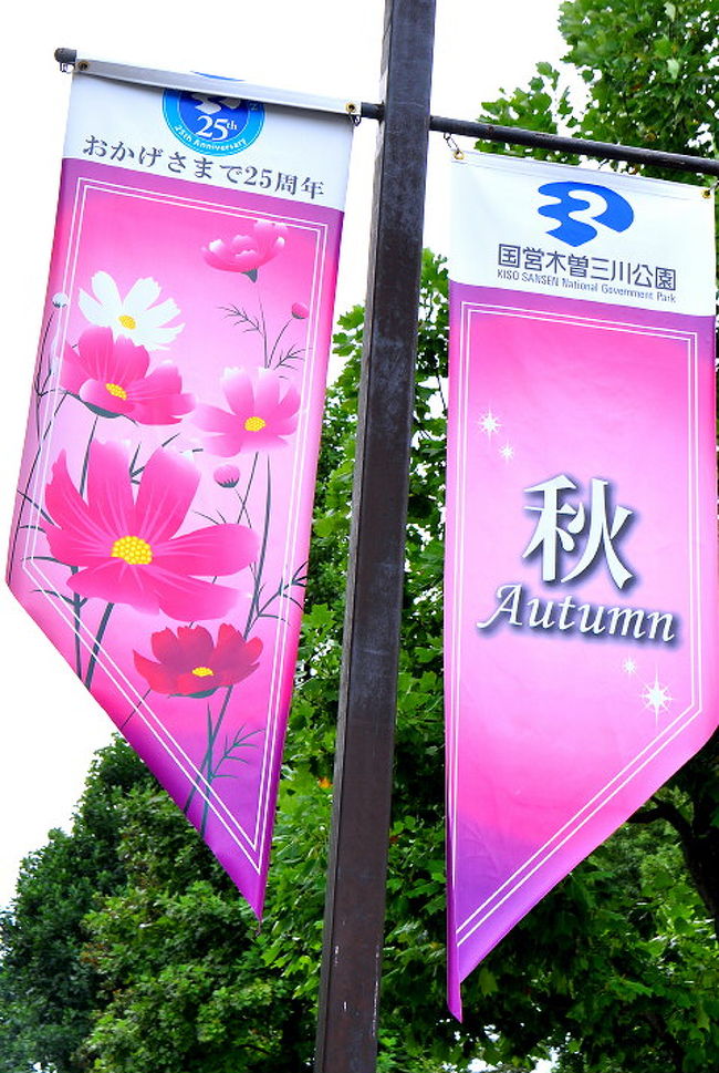 開園25周年の 木曽三川公園センター で 秋の花物語 開催中 安八 海津 岐阜県 の旅行記 ブログ By 風に吹かれて旅人さん フォートラベル 開園25周年の 木曽三川公園センター で 秋の花物語 開催中 安八 海津 岐阜県 の旅行記 ブログ By 風に吹かれて旅人さん フォートラベル