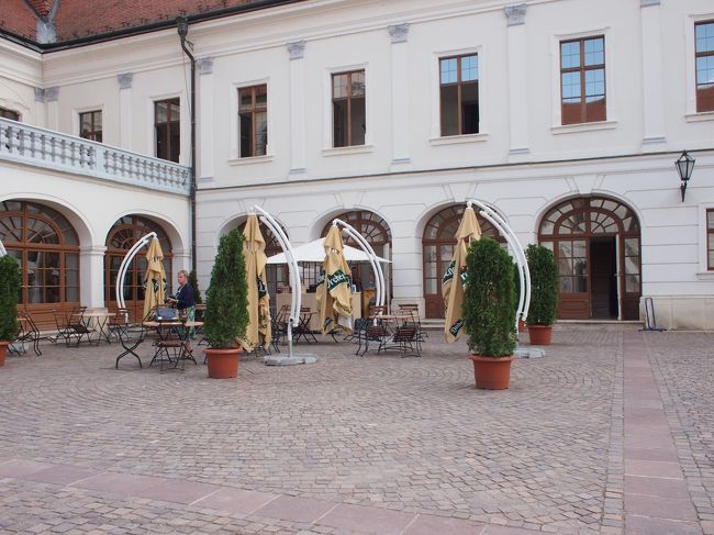 カフェから　お庭に出てみます。