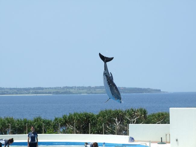 イルカショー。気合の一枚（笑）。