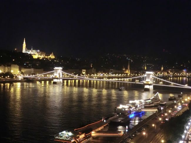 ちなみに、これは、ラウンジのテラスからの夜景です。これだけでも、値打ちありますね。ワインを飲みながら、ゆっくりできます。