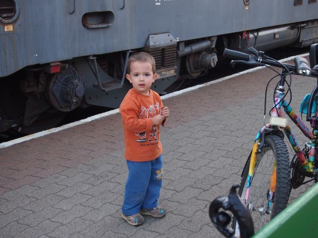 誰かを　お迎えに来ていた　男の子。　可愛いねぇ。