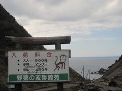 早々に桜をあきらめ、時間ができたので野生の猿に会えるという波勝崎苑へ。

駐車場に車を停めて入場料を払うと、小型バスで猿がいる場所まで乗せて行ってもらえます。