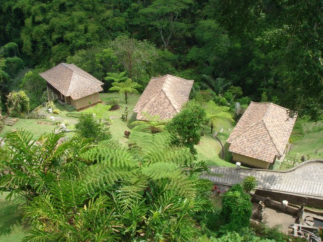 こっちはスタンダードヴィラ。<br />充分な広さがあります。<br /><br />でもフロントやレストランからはちょっと距離があるみたい。