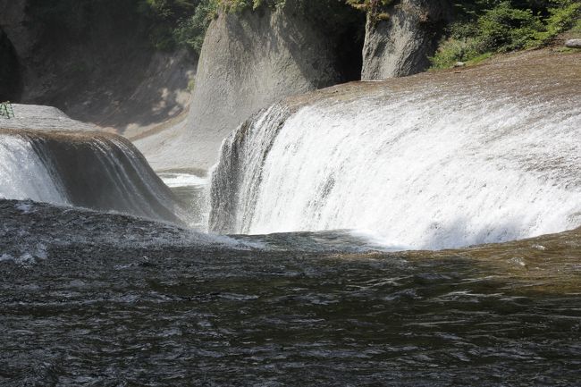 でも見てると落ち着くー