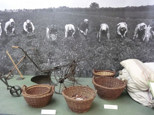 農作業の様子の写真や、農機具が展示されています。