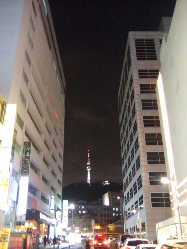 ソウルタワーが見えました(^O^)