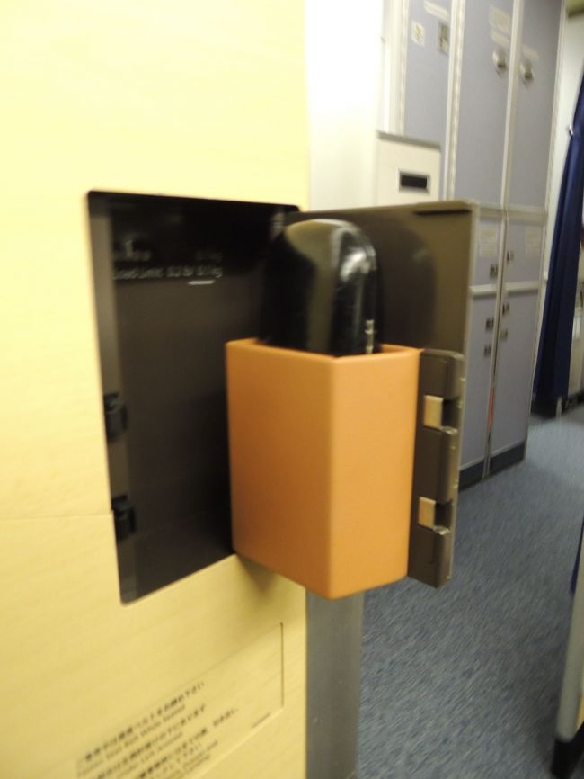 左側には眼鏡入れがありましたので、ひとまず入れてみました