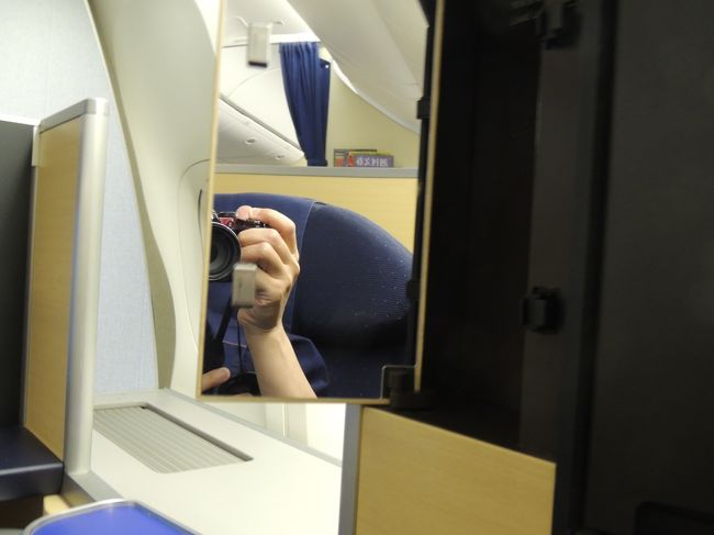 右にはミラーもあります