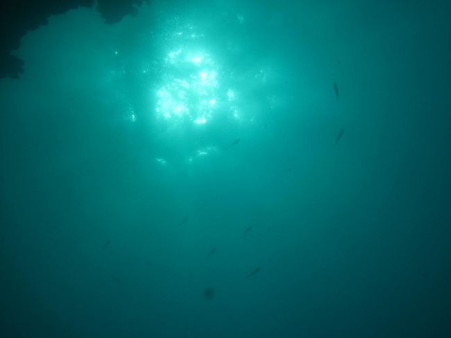 透明度はいまいちでしょうか？