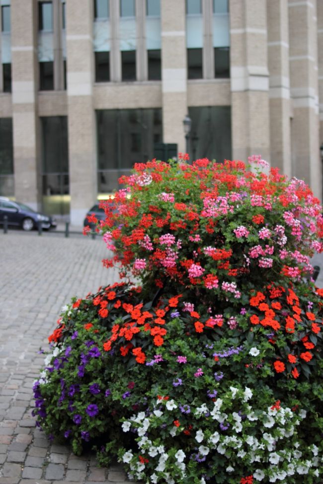大聖堂前にも美しいガーデニングです。