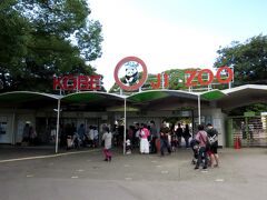 姫路を満喫した翌日は三宮に買い物に出たついでに少しだけ（のつもり）で王子動物園に立ち寄りました。

入園料は大人６００円ですが、ここは年パス持ってるので気楽に入れます。