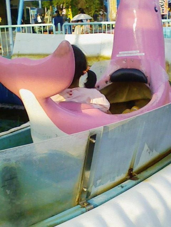 ピンクとブルーの乗り物でした。