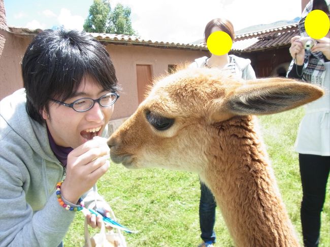 このビクーニャの毛は、最高級でとても値打ちがあるそうです！<br /><br />大きなウルウルした目がとってもかわいかった(*´>ω<`*)