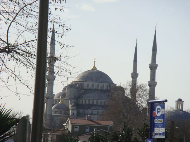 逆光で撮れなかったので、離れた位置から撮り直し。<br />ブルーモスクです。