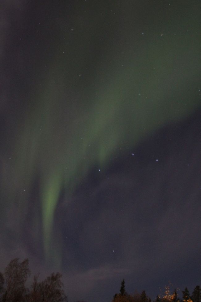 初日のオーロラです。見れて良かった！！と言いましたが、この日はレベル３（最大はレベル５）です。