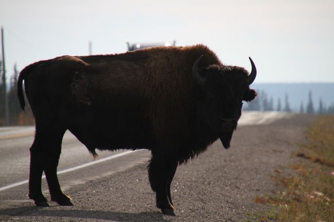 ボスににらまれてます。