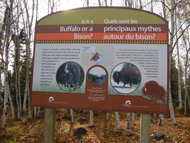 途中でトイレ休憩をいれ、一路帰宅へと