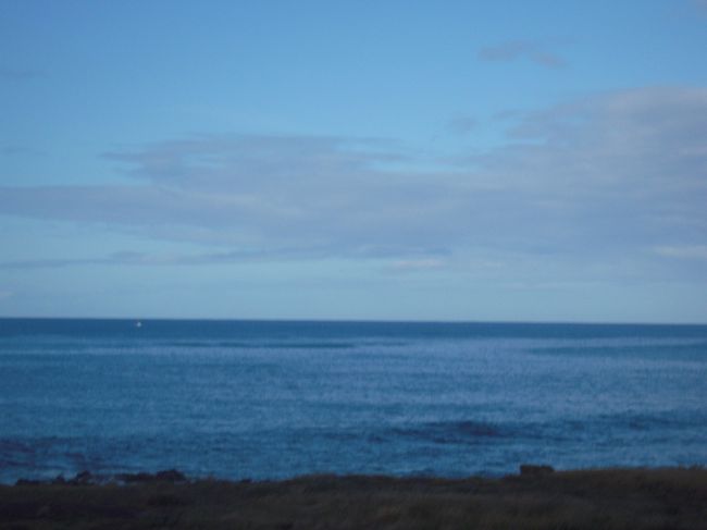 今日は朝から海へ♪<br /><br /><br />野生のイルカ＆ウミガメとシュノーケリング・クルーズ♪<br />シーハワイで予約しました。<br /><br />大人1名US$１３７　<br /><br />ホテルにお迎えが6:45に到着<br />でも、ほとんど到着まで寝てたので楽チンだった。<br /><br />荷物も最低限で大丈夫です。<br />お金も持って行ったけど必要なかった。<br /><br />タオルと着替えとカメラぐらいで大丈夫です。<br />酔いやすい人は薬も持って行った方がいいかな。<br /><br /><br />