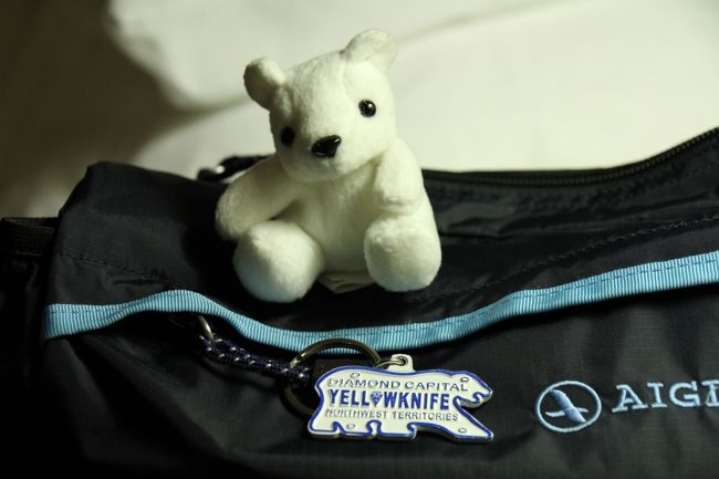 お土産は、やっぱシロクマ（キーホルダー＊２）です。