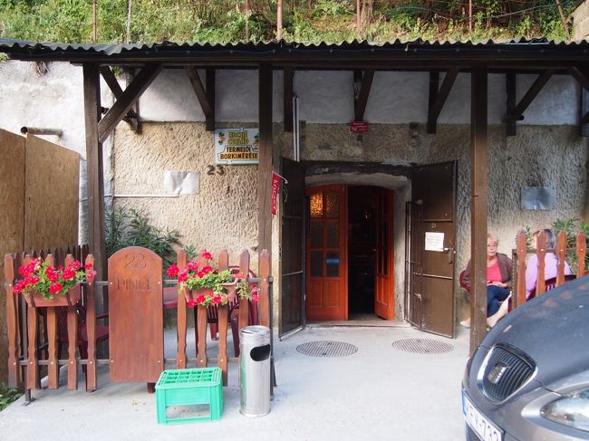 何杯も試飲して　旅の疲れも手伝って　脱力感に　囚われますが　時は既に１８時半。