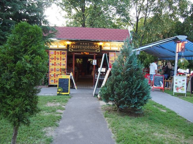 ２８番のお姉さんに　教えてもらった　ふもとのレストランへ　歩きます。