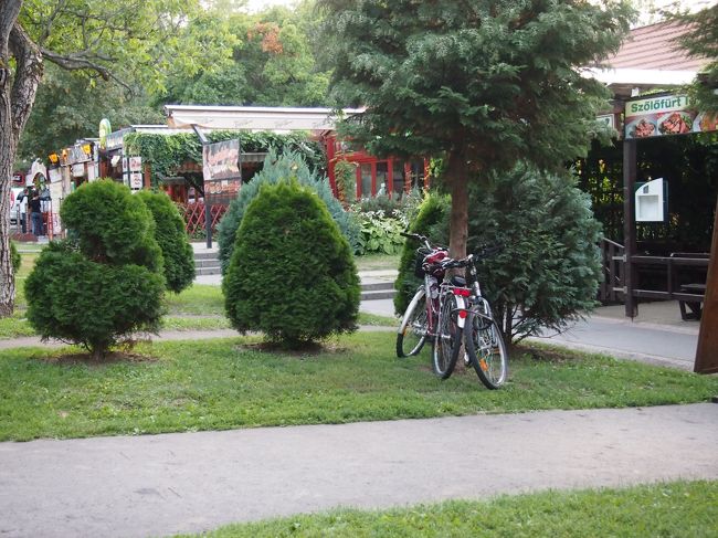 食事を終えて　１９時２５分。<br /><br />ブダペストへの　最終列車は　１９時３１分です。　もう間に合いませんが　長距離バスの最終が　２０時１５分にあるので　往復で　購入した復路の列車代を　捨てて　バスで帰る事に。