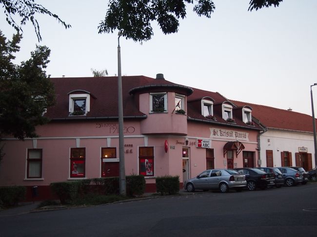 あまり　遠くまで行ってしまうと　バスに乗り遅れるぞーーと　向こうの方から　連れあいの声。