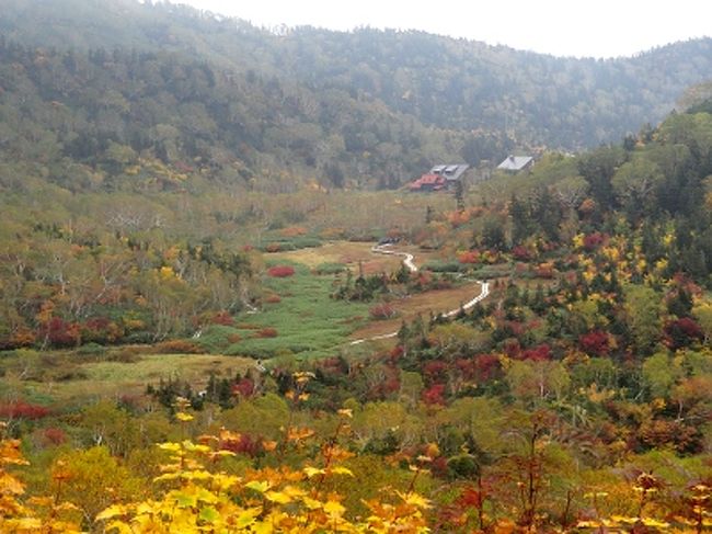 日本の凄すぎる紅葉登山 白馬岳 栂池自然園 白馬らしさを求めて 栂池 白馬乗鞍 長野県 の旅行記 ブログ By 世界攻略者さん フォートラベル