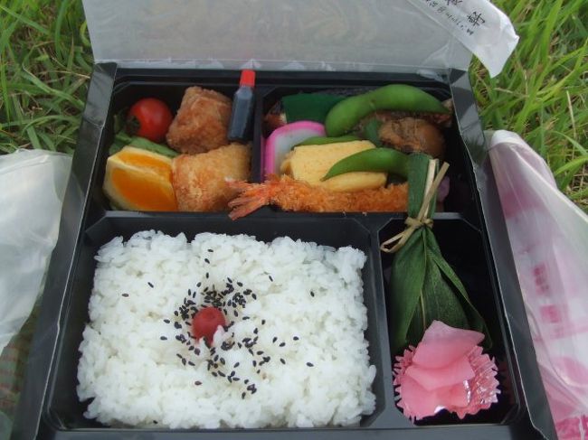 駅で買った花火大会用のお弁当。普通の幕の内でした。一応、笹団子が入っていたのが地元料理？