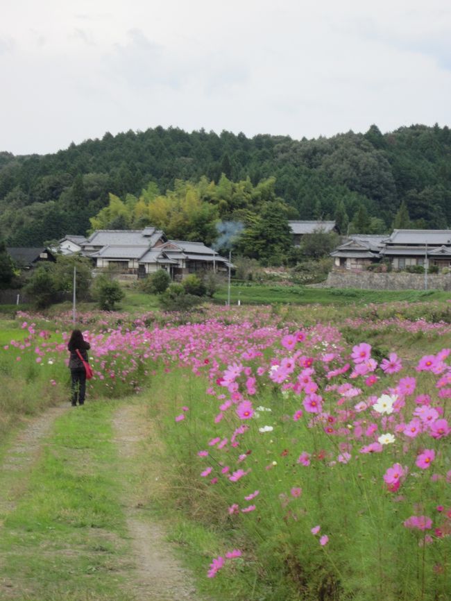 お花を一生懸命撮ってるのはだあれ？