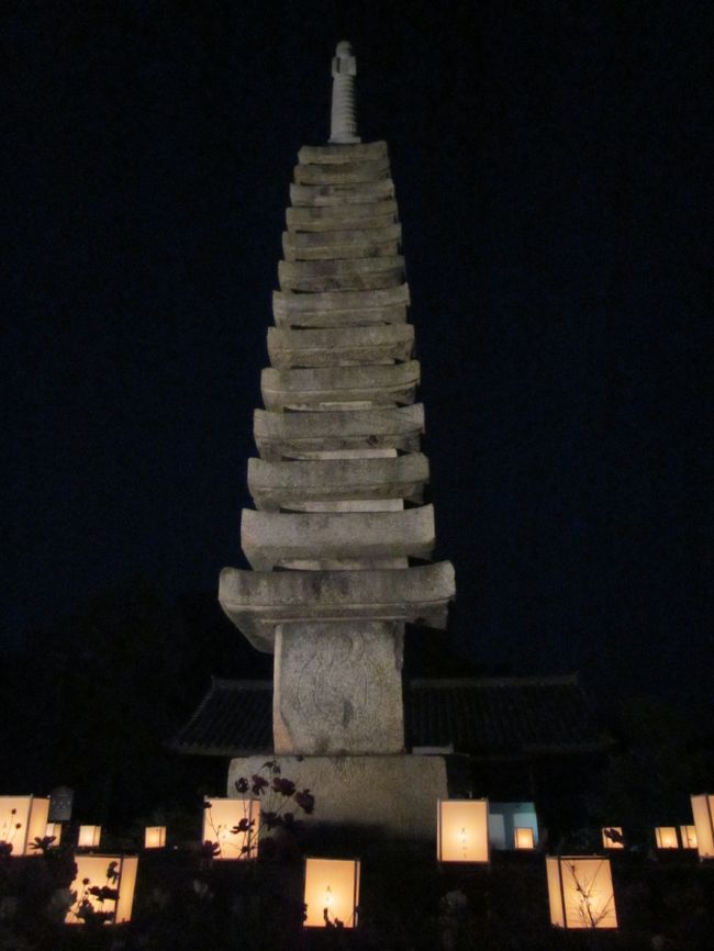 夜見ると普段とは違って見えます。