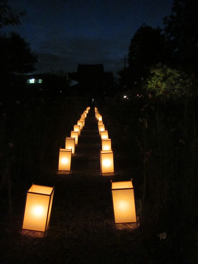 足元には明かりがともされてますがフラッシュ焚かないと明かりしか写らない