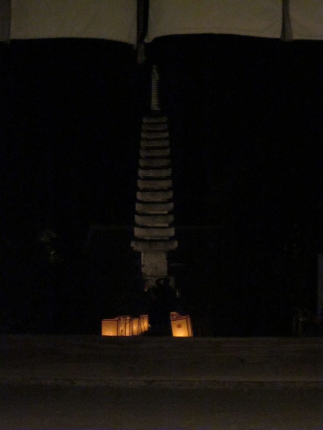 柵の間からのぞきこんでぎりぎり全景が入りました。<br /><br />コンデジでは大した写真は撮れません、きれいな写真は他の方のページでご覧下さい。<br /><br />写真を取りながらワイワイおしゃべり、とても楽しい一日を過ごさせていただきました。<br /><br />ご一緒させてくださった皆様、ありがとうございます。<br /><br />