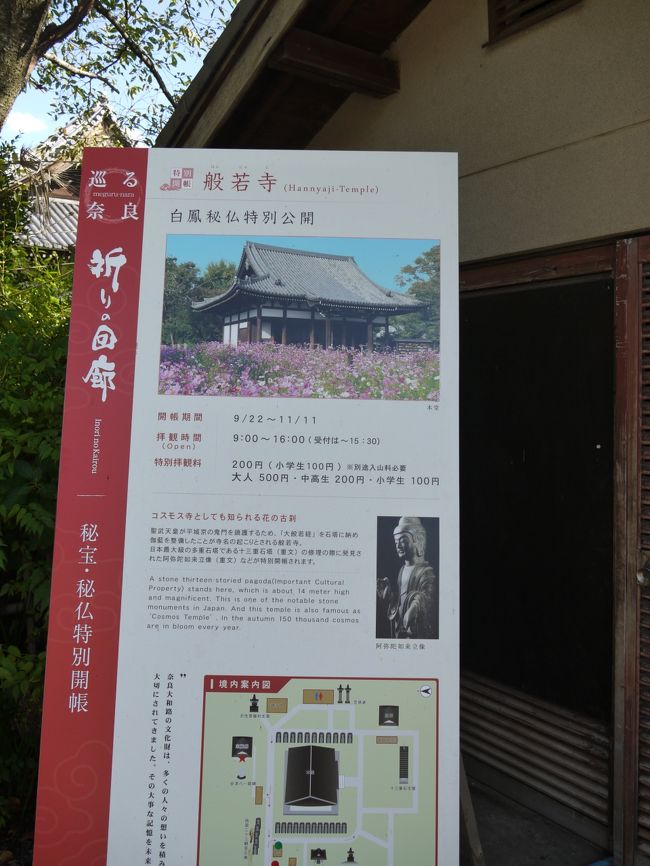 拝観料５００円と特別拝観料２００円払いました。