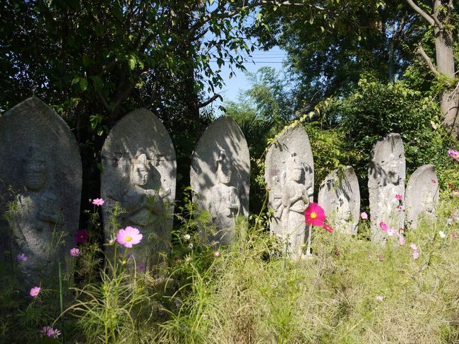 境内に入るとコスモスと石仏さんがお出迎え