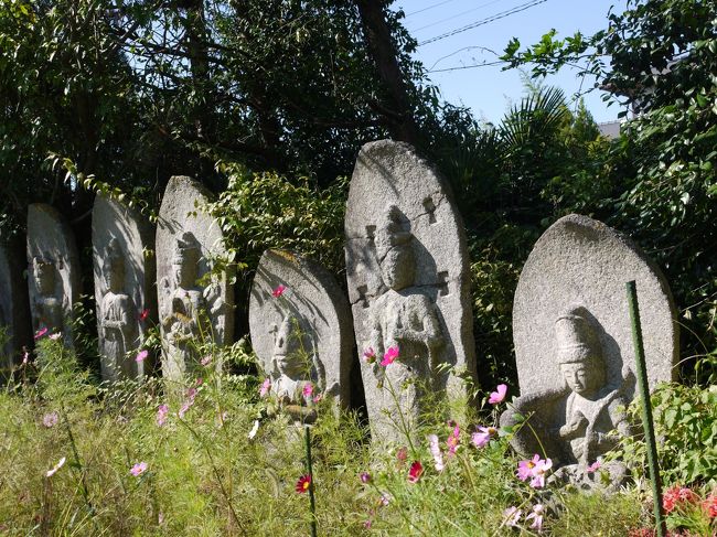 とてもいい風情、心癒される光景です。