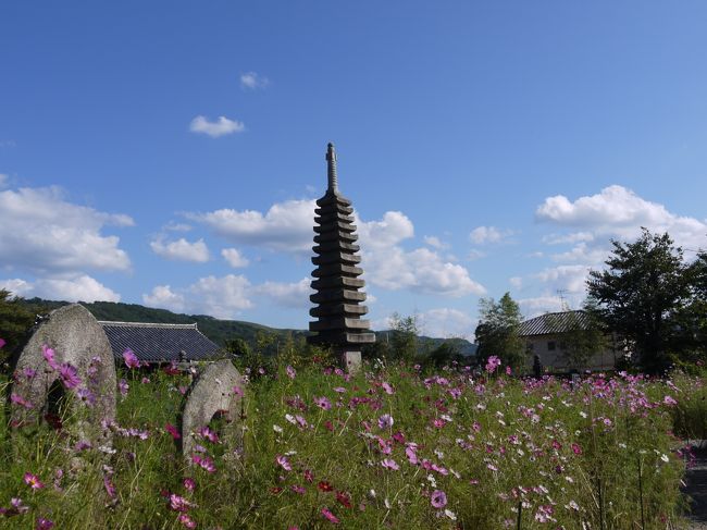 コスモスで埋めつくされた境内<br /><br />石塔と石仏とコスモス　古い建造物と命短い花との組み合わせに惹かれます。