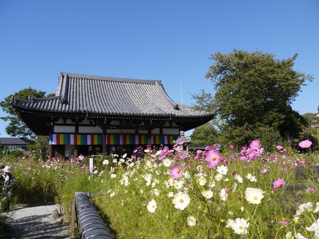 奈良と京都を結ぶ街道沿いの奈良坂の頂上付近にあるため、軍事的な要衝としても何度も戦禍に巻き込まれたそうです。