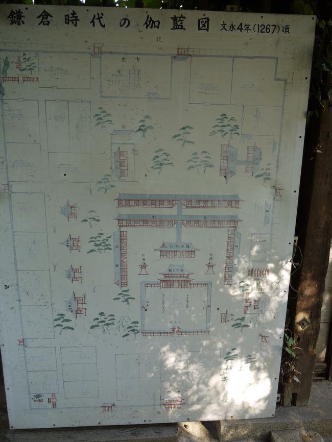 鎌倉時代の伽藍の様子が絵に描かれていましたが、今からは想像もつかないような大伽藍を持っていたことが分かります