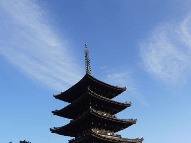 着いたときは観光バスが何台も、賑わってました。