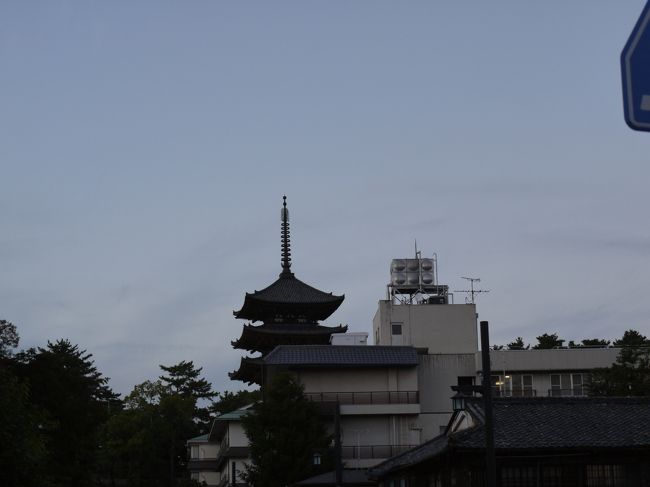 本日の宿から<br /><br />畳のお部屋で枕を並べ、おしゃべりしながら眠りにつきました。