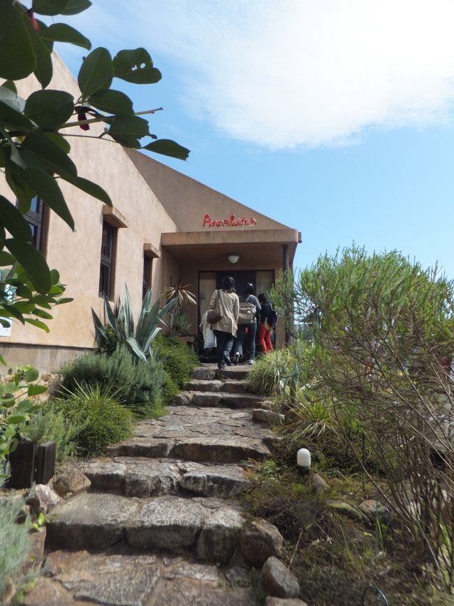 6人でランチにします。