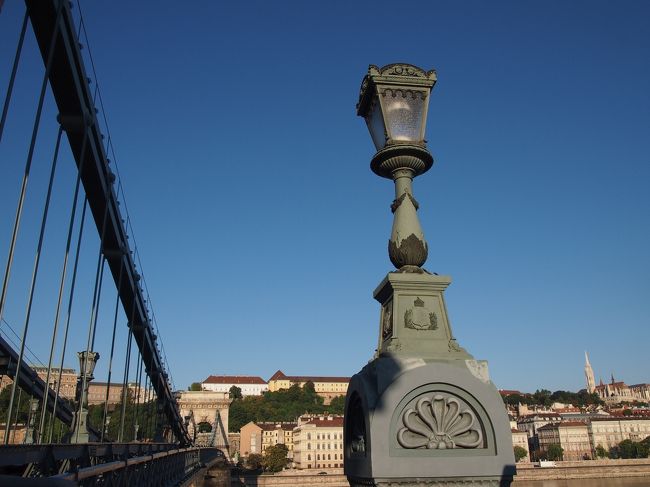 朝の　ひんやりとした空気が　心地よい。