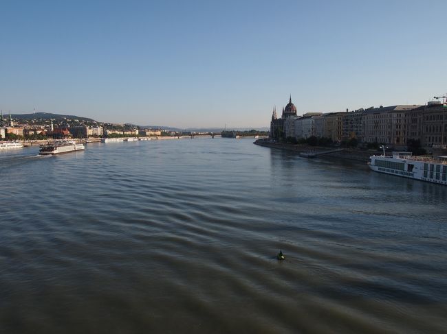 とうとうと流れ行くドナウを跨いで　ブダへと歩きます。