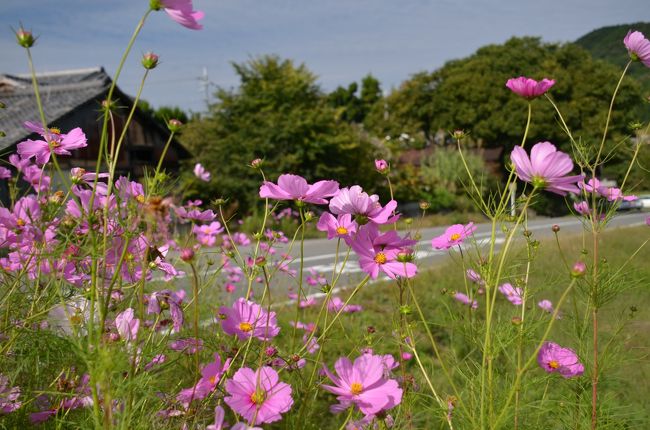 柳生の里は空気ものんびりしています。