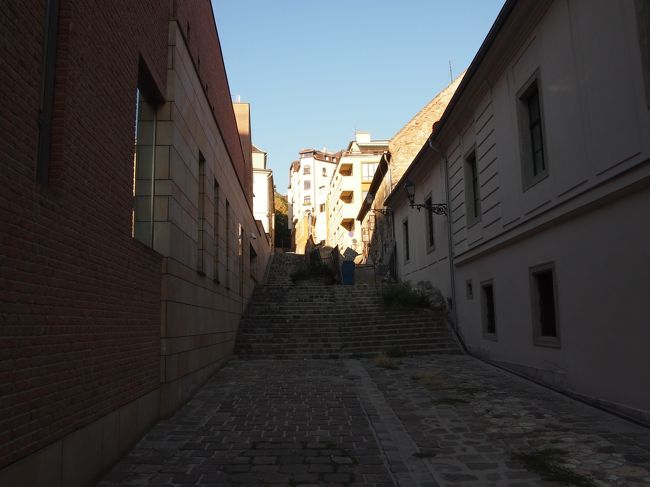 んん・・・・なさそうな　感じ。